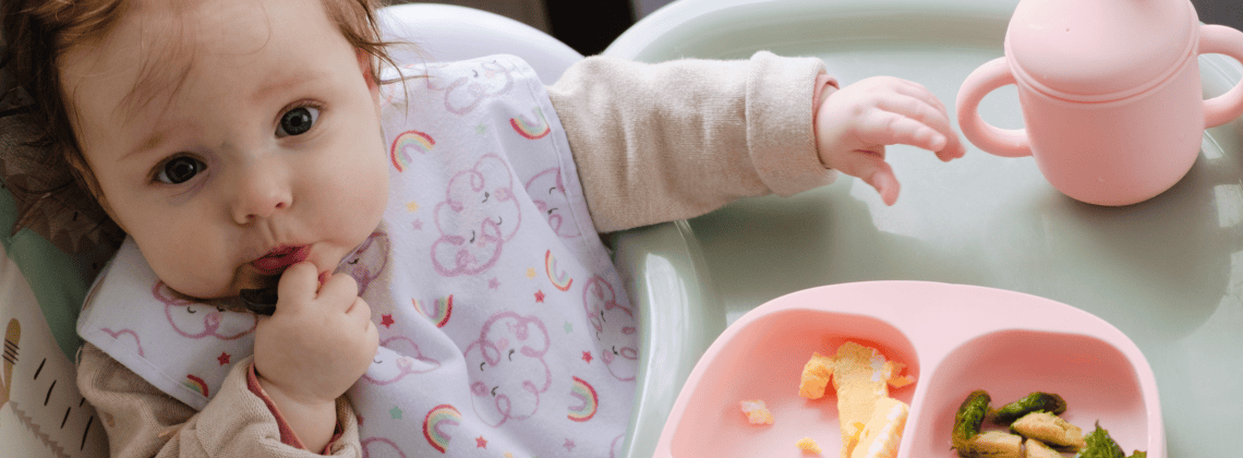 Baby Sat in a High Chair and Eating Finger Foods