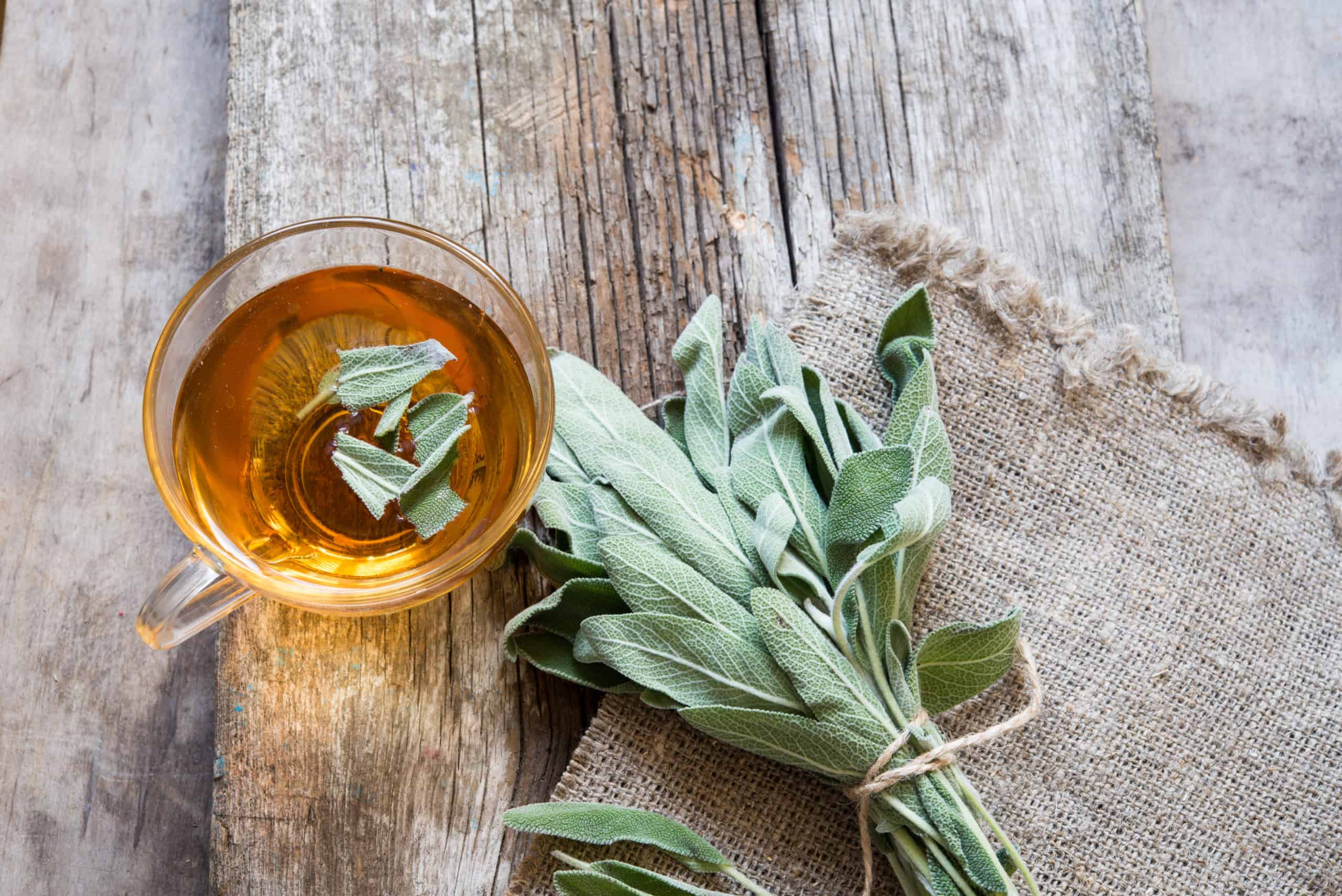 herbal tea in pregnancy