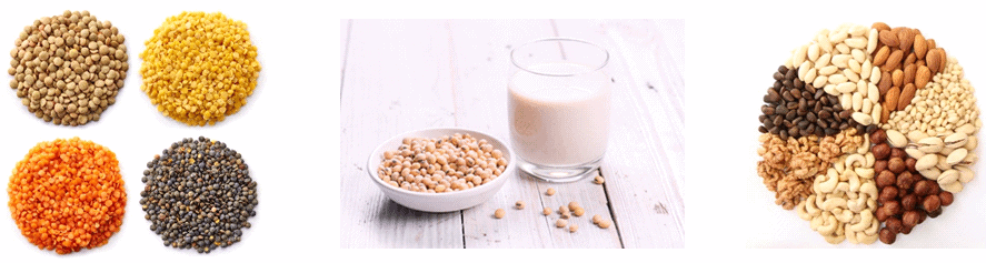 Vegan Diet Examples