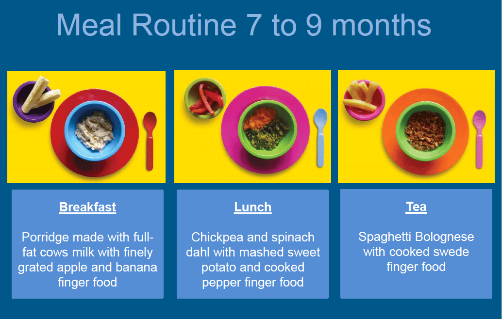 Meal routine 7 to 9 months: Breakfast - Porridge made with full-fat cows milk with finely grated apple and banana finger food. Lunch - Chickpea and spinach dahl with mashed sweet potato and cooked pepper finger food. Tea - Spaghetti bolognese with cooked swede finger food.