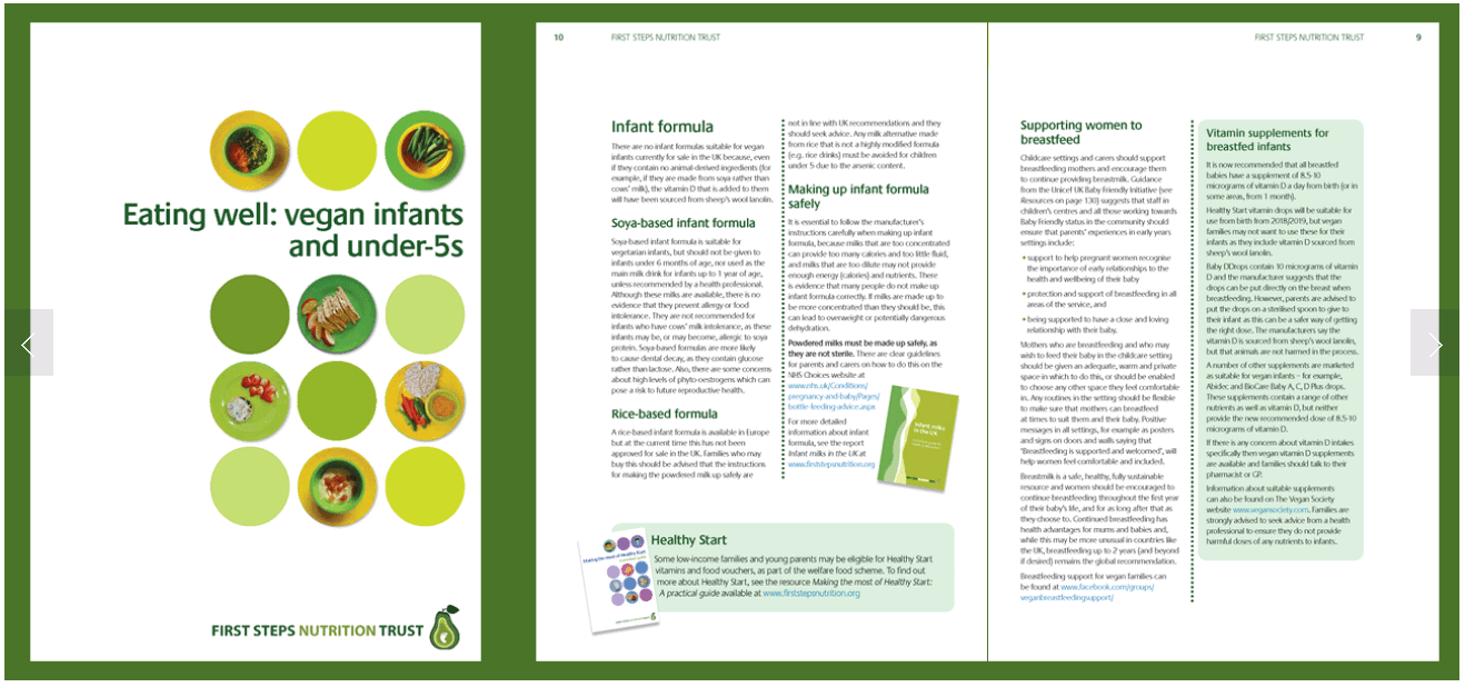 First Steps Nutrition Vegan Guide Example
