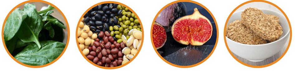 Vegan Iron examples
