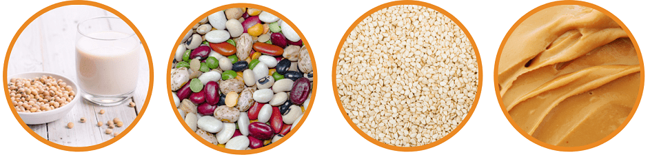 Vegan Proteins