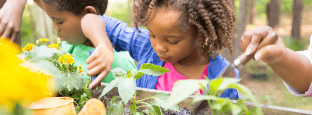 Children growing vegetables in a nursery school garden