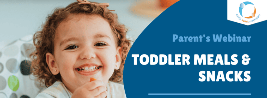 Toddler Meals and Snacks Webinar